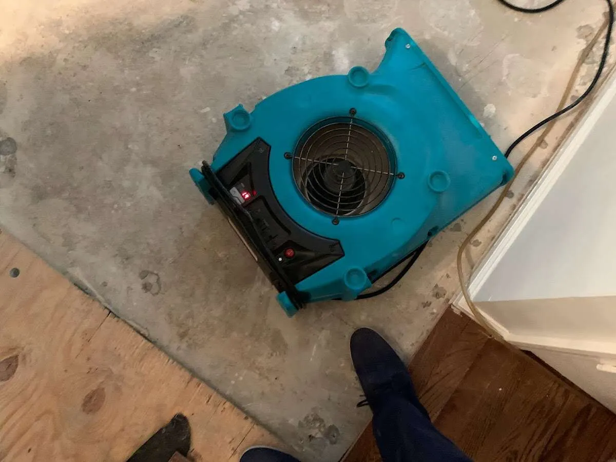 Air mover drying subfloor during Leak Detection & Repair in Hilo